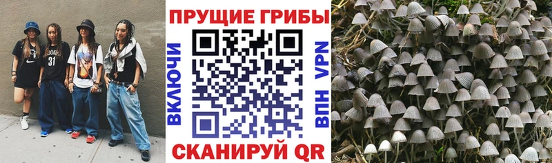 Галлюциногенные грибы GOLDEN TEACHER  Купить  Коркино 